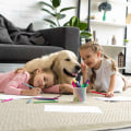 healthy living room with pets